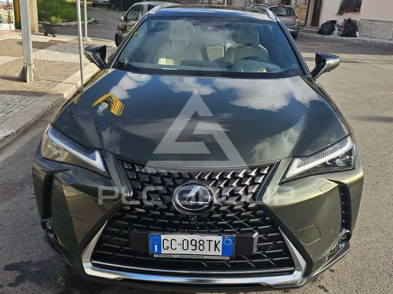 2020 Lexus UX250