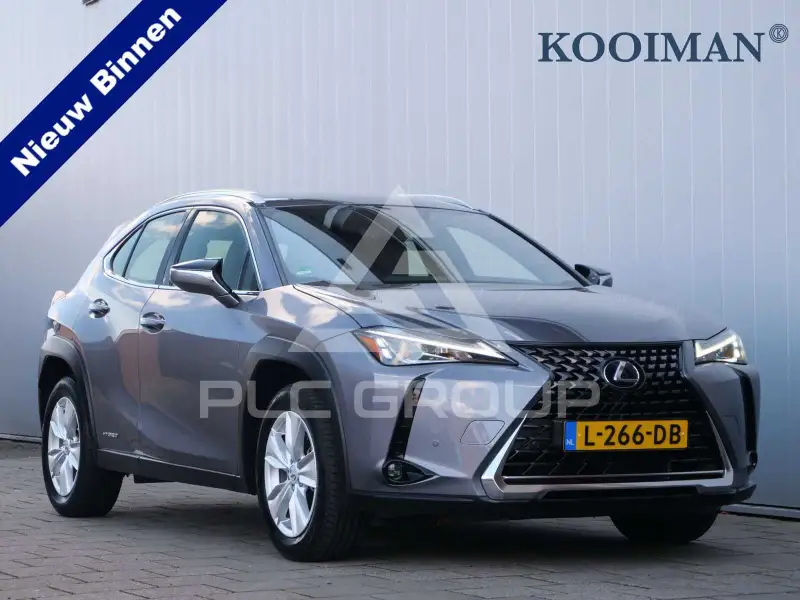 2020 Lexus UX250