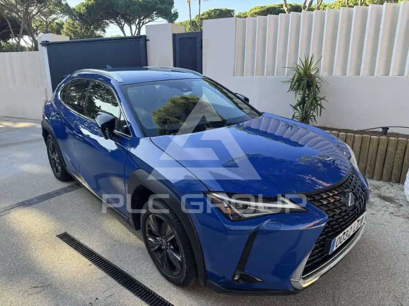 2020 Lexus UX250