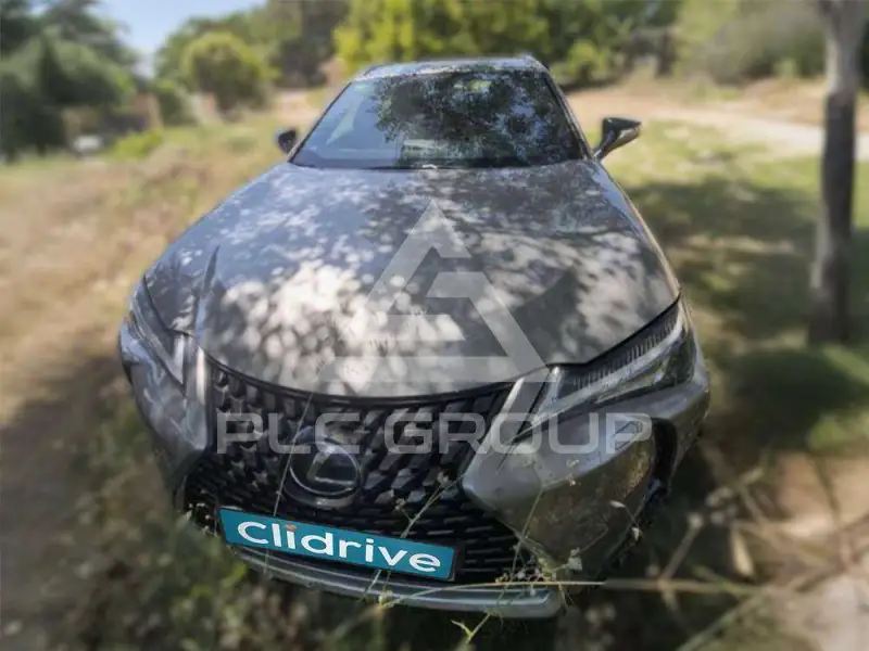 2020 Lexus UX250