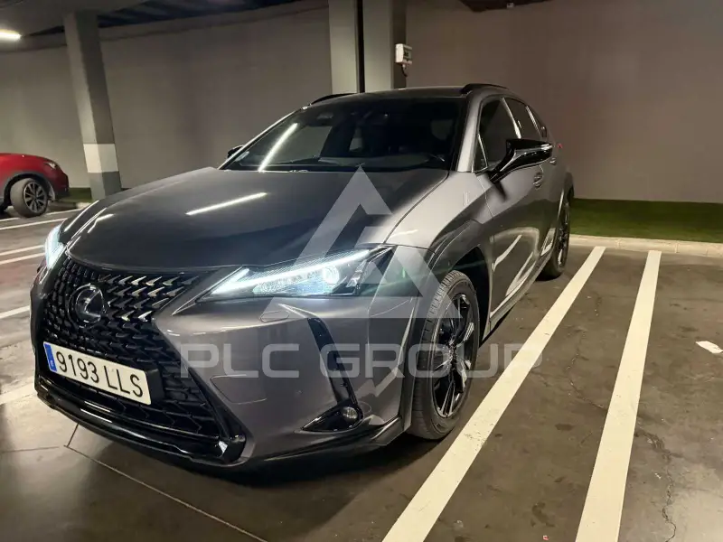 2020 Lexus UX250