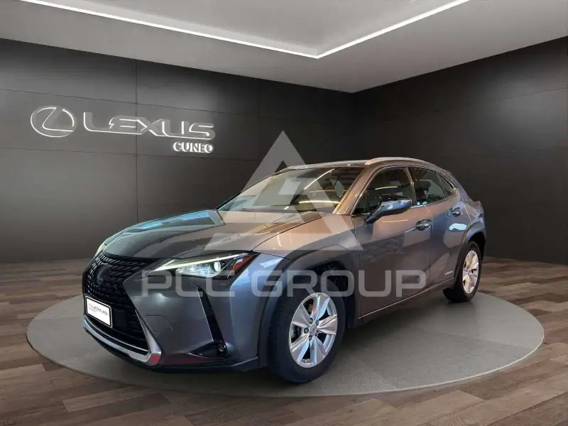 2020 Lexus UX250