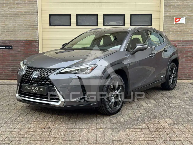 2020 Lexus UX250