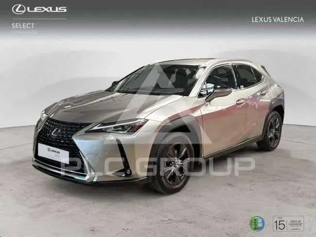 2020 Lexus UX250