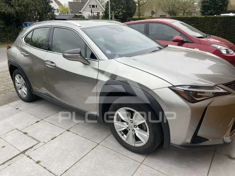 2020 Lexus UX250
