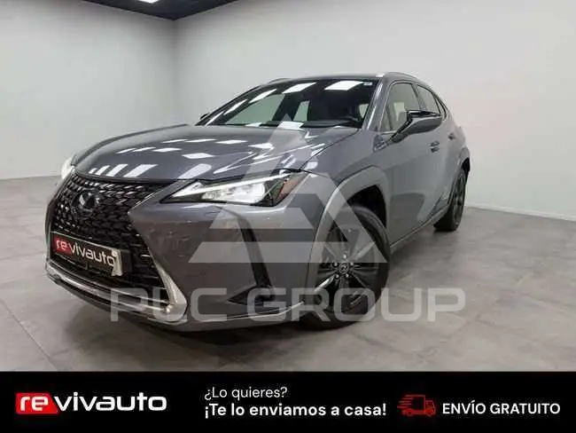 2020 Lexus UX250