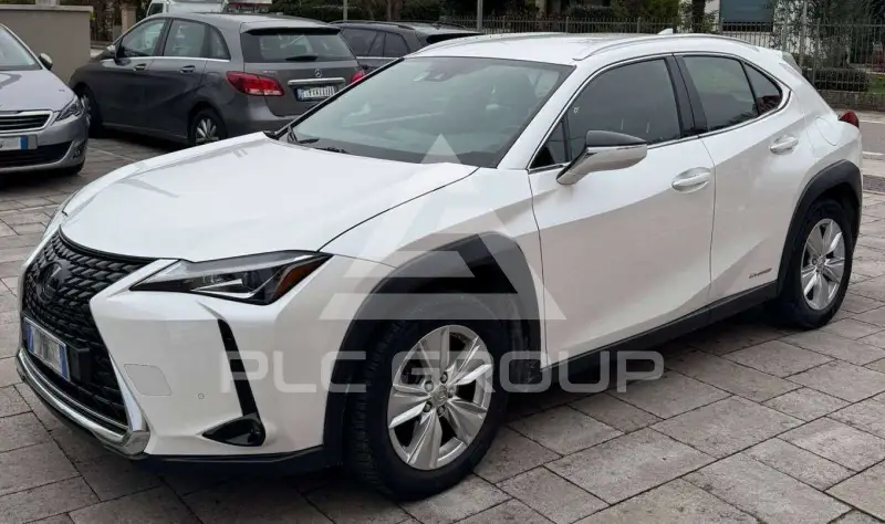 2020 Lexus UX250