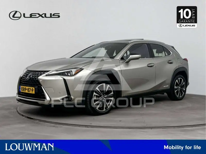 2020 Lexus UX250