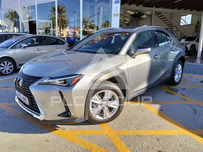 2020 Lexus UX250