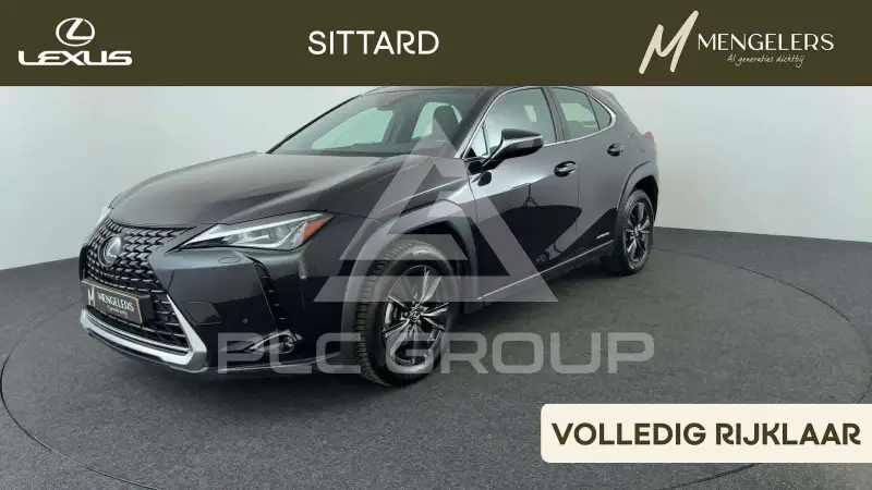 2020 Lexus UX250