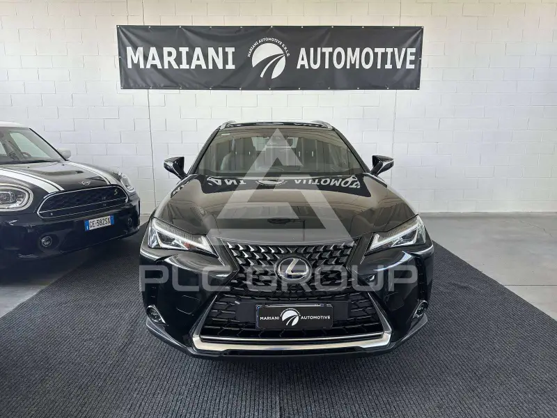 2020 Lexus UX250