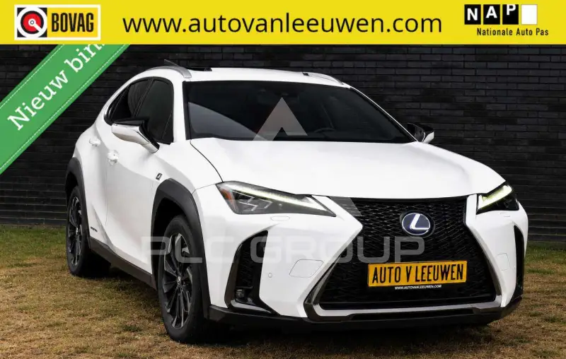 2020 Lexus UX250