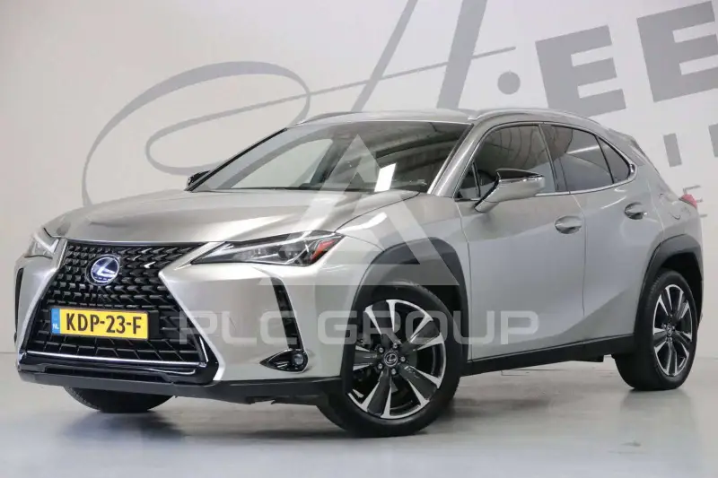 2020 Lexus UX250