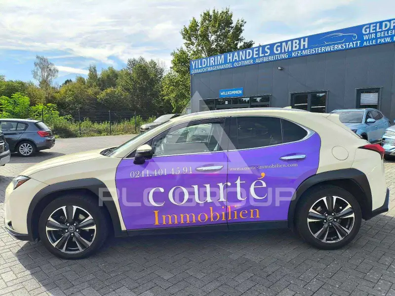 2020 Lexus UX250