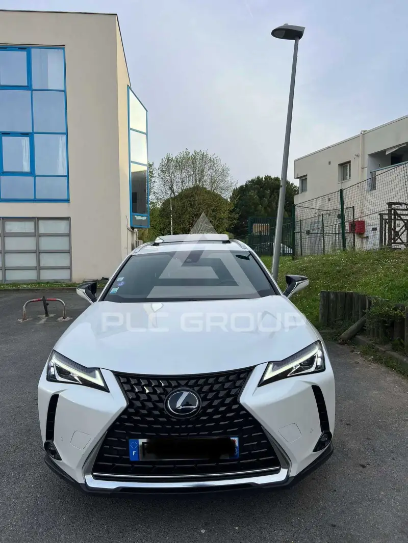 2020 Lexus UX250