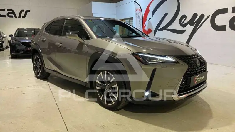 2020 Lexus UX250