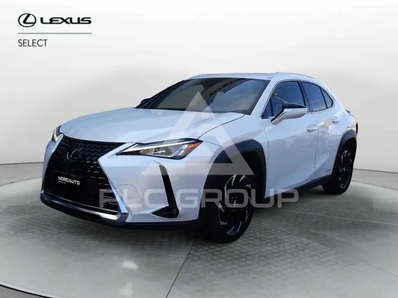 2020 Lexus UX200