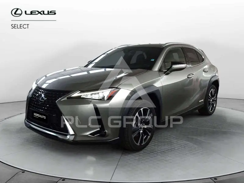 2020 Lexus UX200