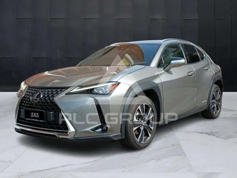2020 Lexus UX200