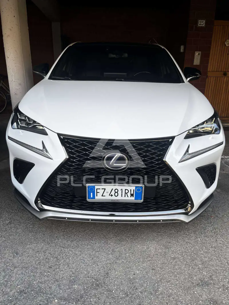 2020 Lexus NX300