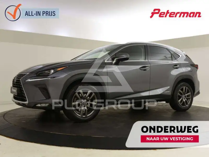 2020 Lexus NX300