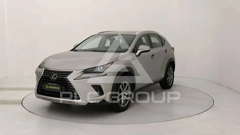 2020 Lexus NX300