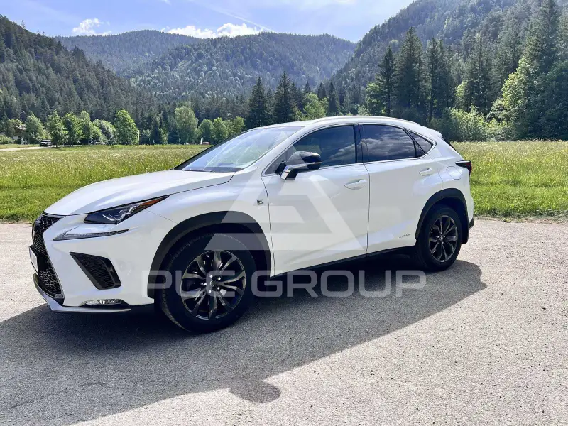 2020 Lexus NX300