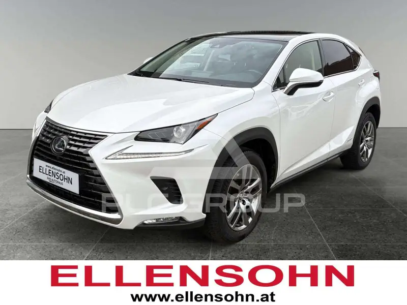 2020 Lexus NX300