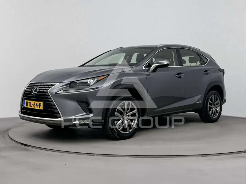 2020 Lexus NX300