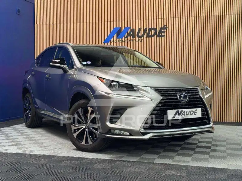 2020 Lexus NX300