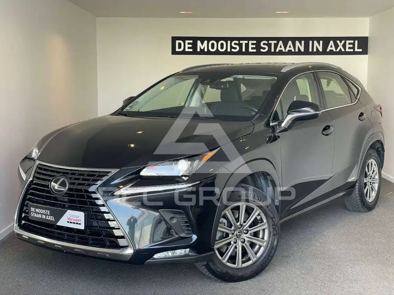 2020 Lexus NX300