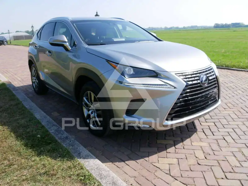 2020 Lexus NX300