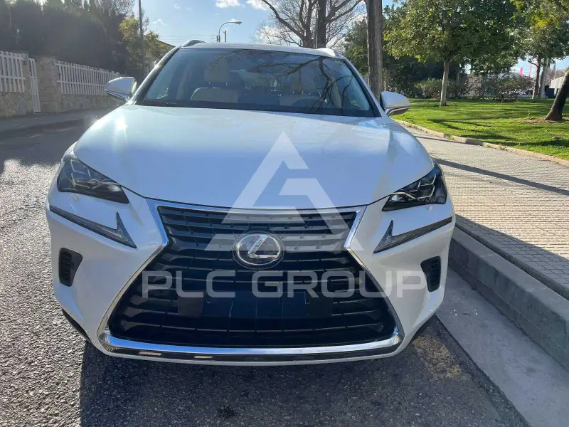 2020 Lexus NX300