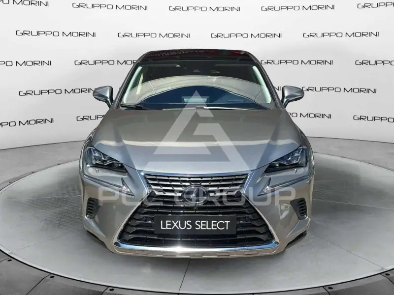2020 Lexus NX300