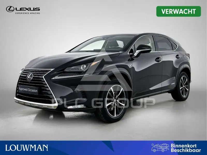 2020 Lexus NX300
