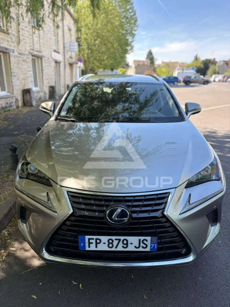 2020 Lexus NX300