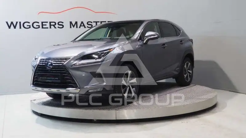 2020 Lexus NX300