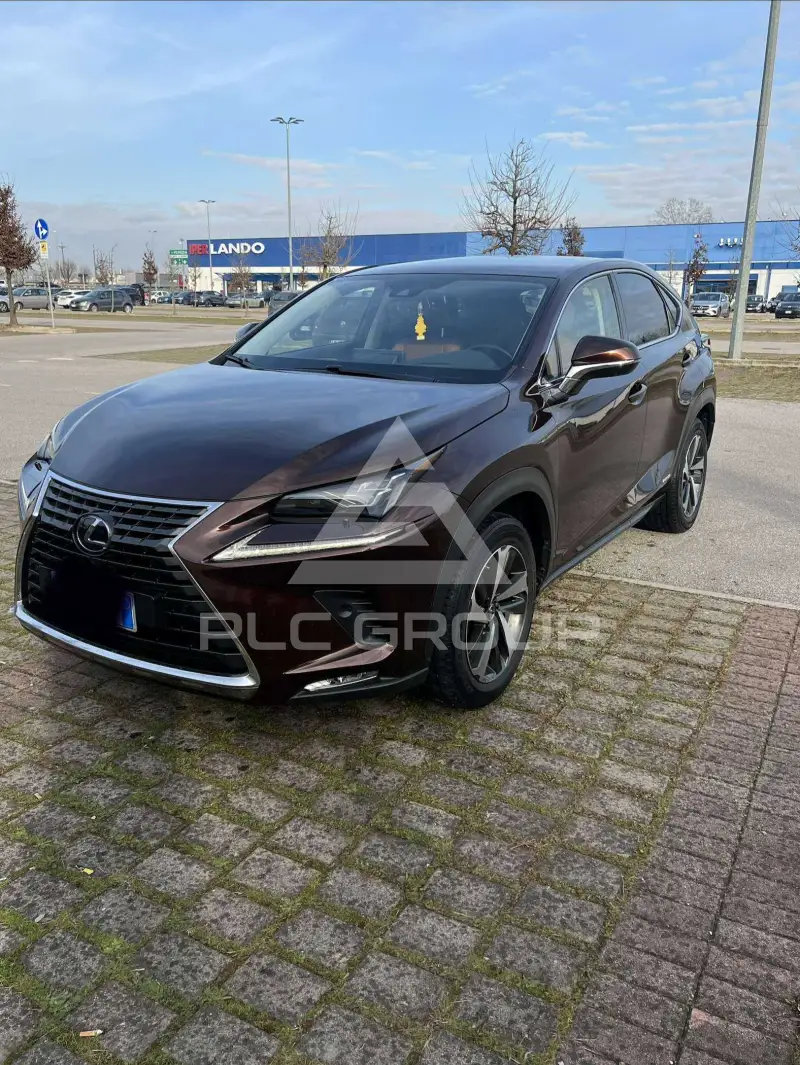 2020 Lexus NX300
