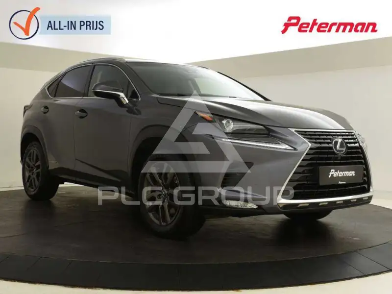2020 Lexus NX300
