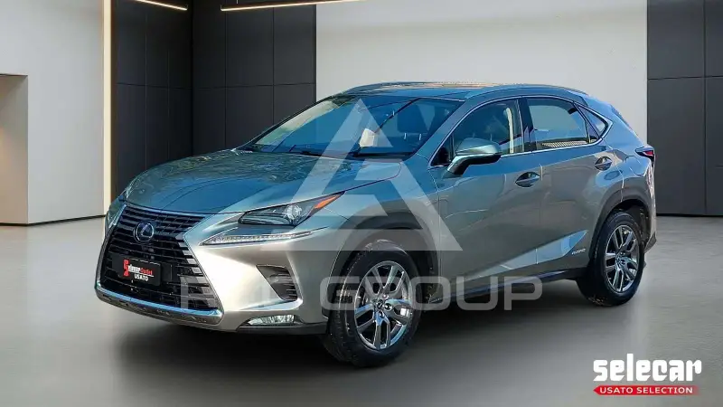 2020 Lexus NX300