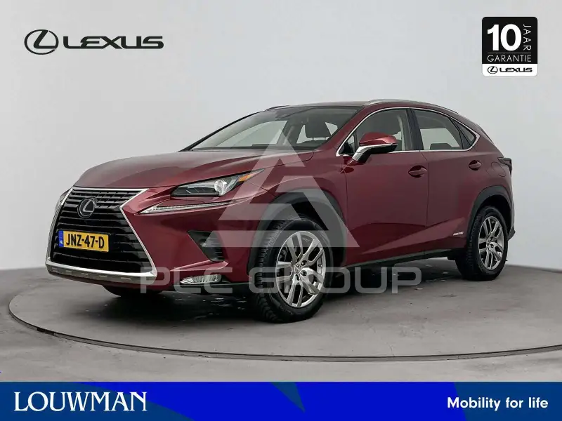 2020 Lexus NX300