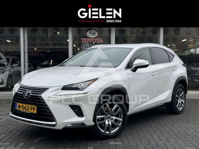 2020 Lexus NX300