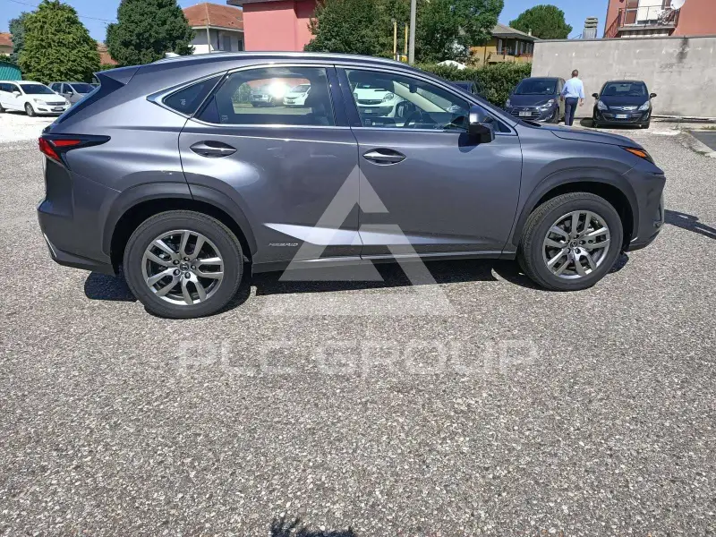 2020 Lexus NX300