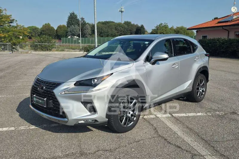 2020 Lexus NX300