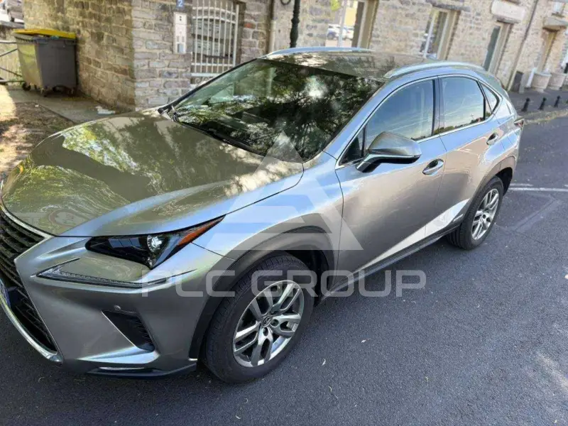 2020 Lexus NX300