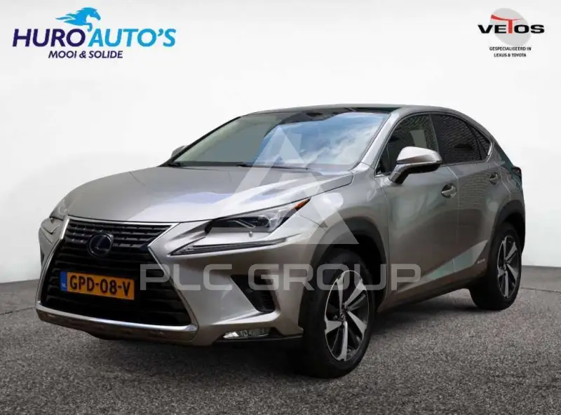 2020 Lexus NX300