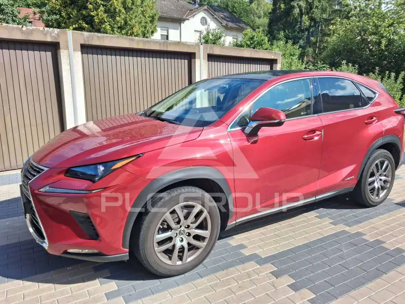 2020 Lexus NX300