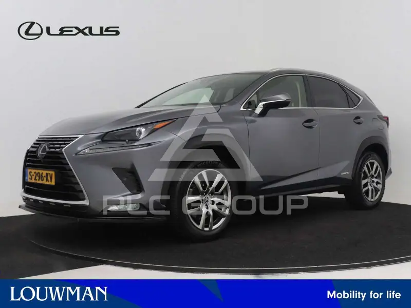 2020 Lexus NX300
