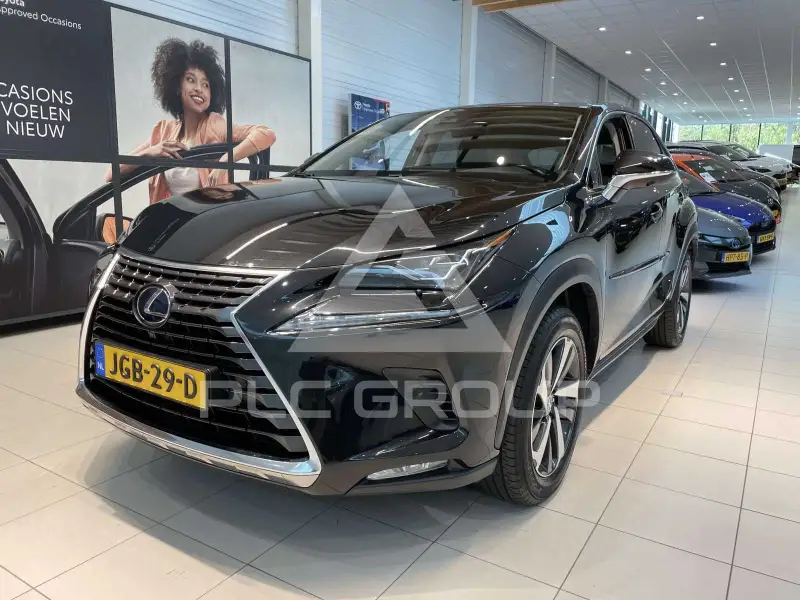 2020 Lexus NX300