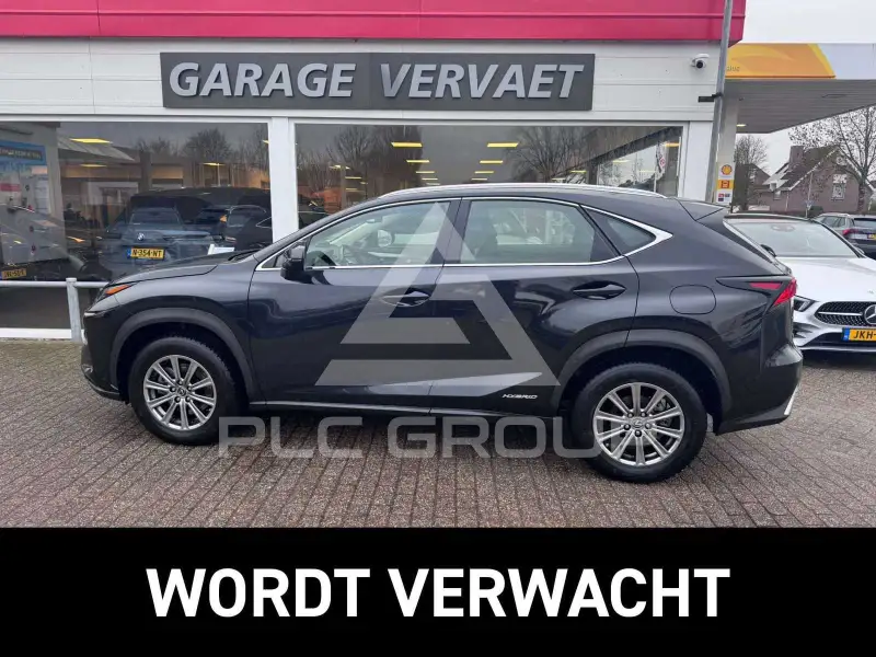 2020 Lexus NX300